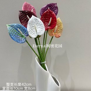 ���滨mini�t��������Ƹ�Ͱ����Ͱ���ľƵꙻ���廨�bٻ��G��