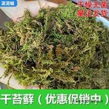 干苔藓水苔青苔乌龟过冬眠保湿椰土砖爬宠用品蝴蝶兰花石斛营养土