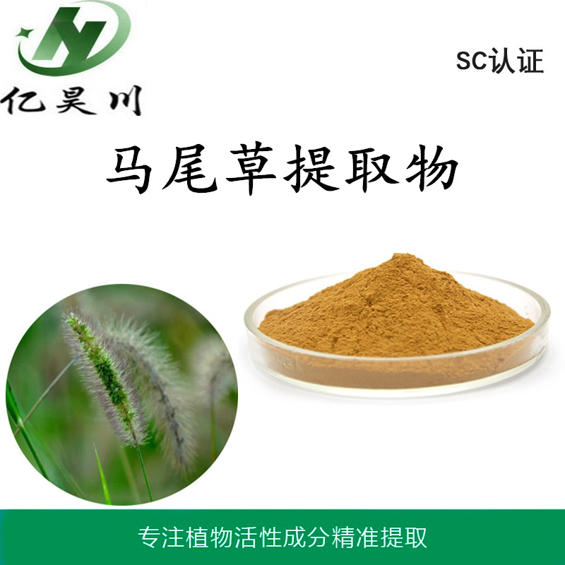 马尾草提取物厂家10：1 马尾草浸膏粉 全水溶马尾草粉量大从优