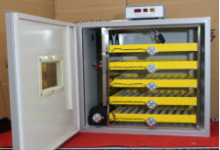 微型家用孵化机小型家用孵化器全自动智能鸡鸭鹅鸽孵蛋机孵蛋器