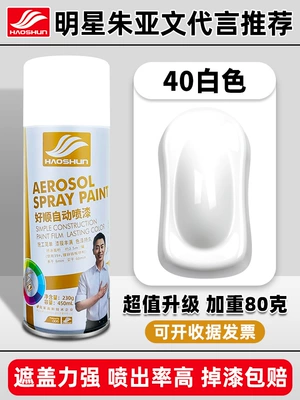 Graffiti Home Wooden Paint, Avtomobil boya qələmləri - shushun-self-painting-40white-230g450ml