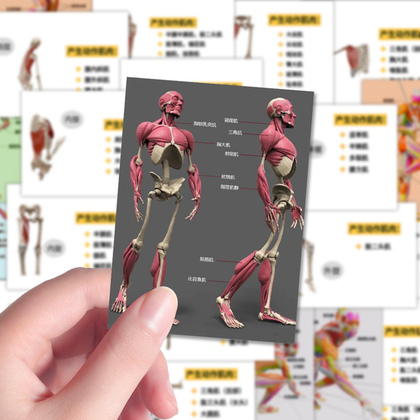 Physiological sticker