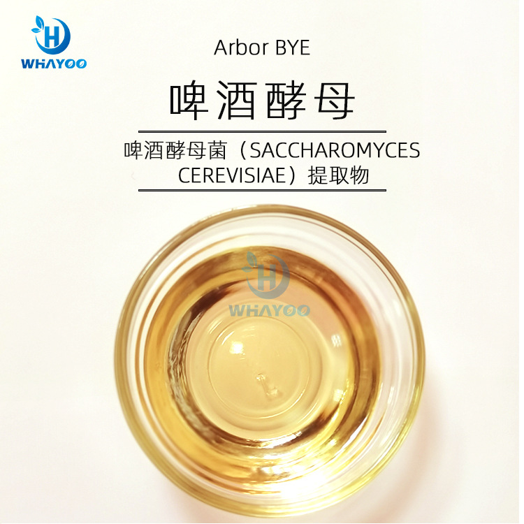 美国苮琇Synsil安评资料化妆品级清澈透明低气味啤酒酵母菌提取物