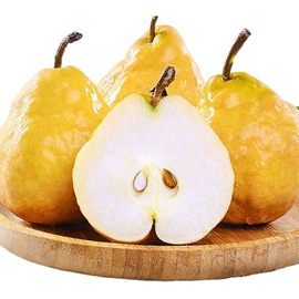 块茎类;其他水果;苹果