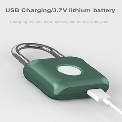 Smart fingerprint padlock waterproof anti-theft travel luggage locker door drawer fashion gift manufacturer direct supply