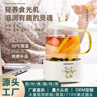 Mini Health Cup Health Pot Electric Stew Cup Small Tea Maker Household Flower Teapot Glass Portable Water Cup 110V