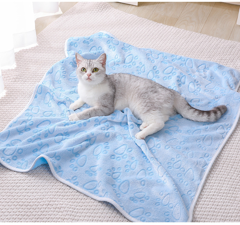 9-27毛绒宠物毛毯_13