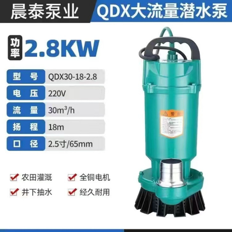 Shanghai auténtica bomba sumergible 220V bomba de agua de gran calibre 3 pulgadas 4 pulgadas sin escobillas de alto flujo de elevación bomba de agua