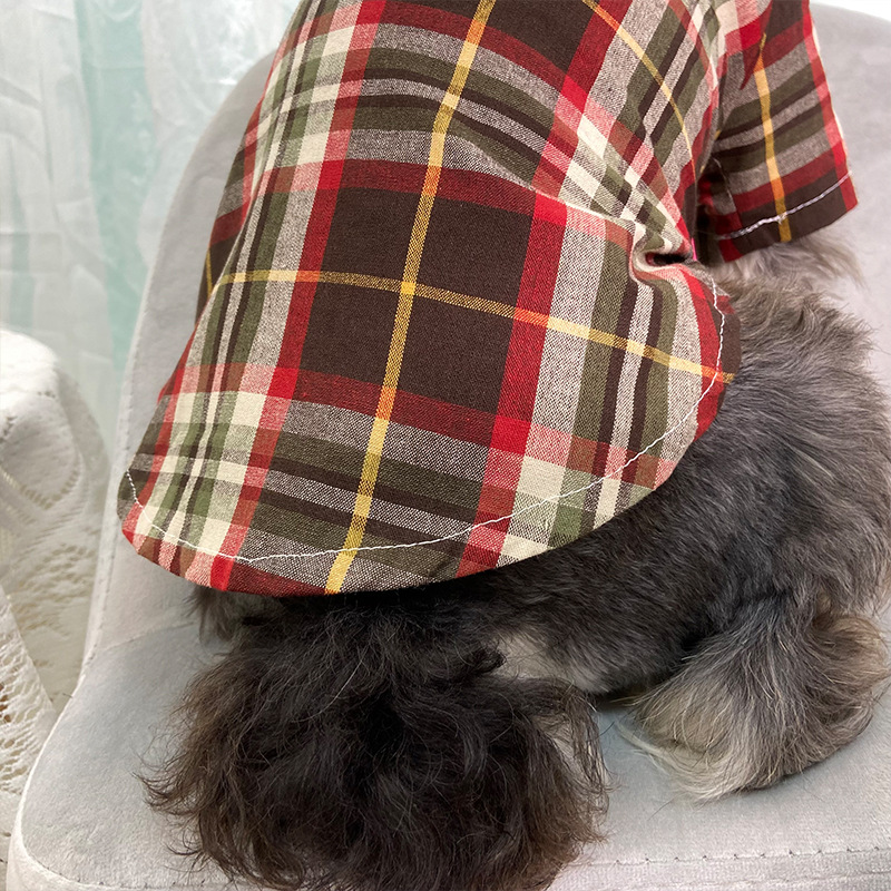 Ŀ· СȮ̩ϲѩӳ ȫ޸ӳ