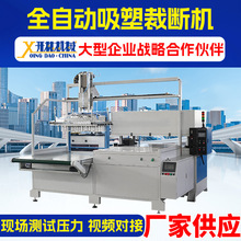 四柱裁断冲床模切下料机厂家供应机械手自动抓取全自动吸塑裁断机