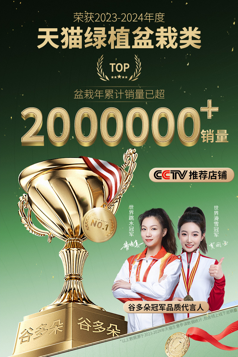 [국제챔피언 추천] 가격이 비싸고 품질도 더 좋고 안심이 됩니다.