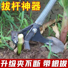 �¿�ΗU�����r�ð�ľ�������������z�^�����׸��޻����U��U����