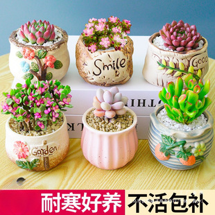 ֲM҃С¶ҵմɻϘGֲ