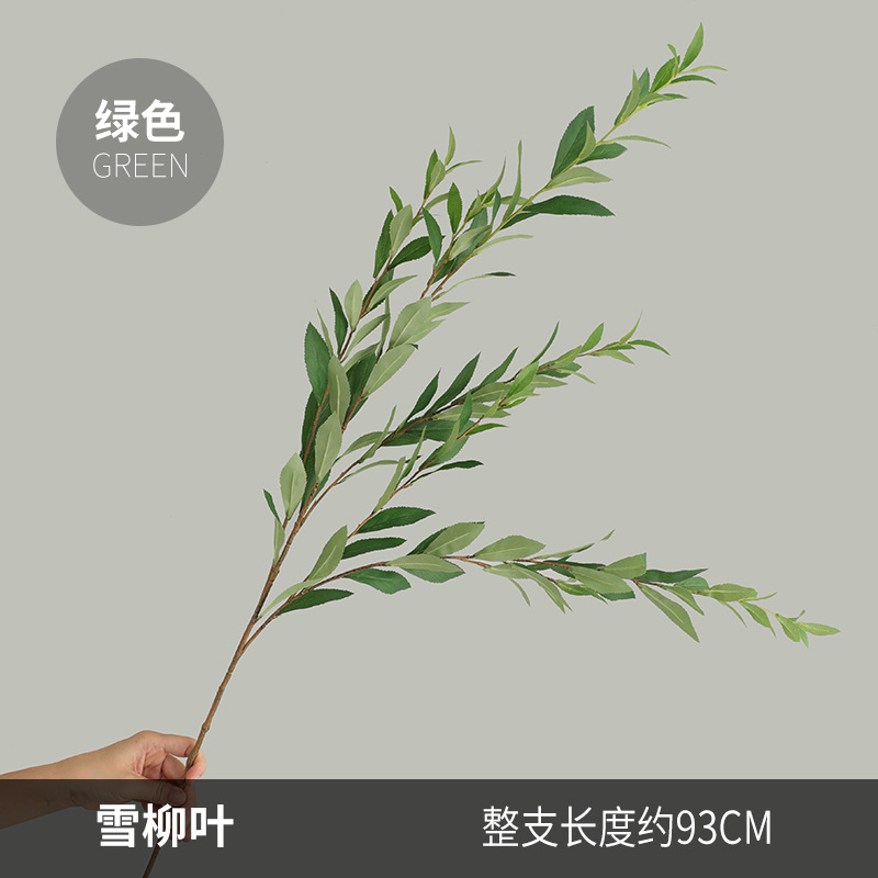 183828 눈 버드나무 잎