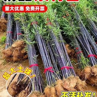 �����粻ȥ�^��������������ͺ�������ͥԺ�����ļ��������F�Gֲ