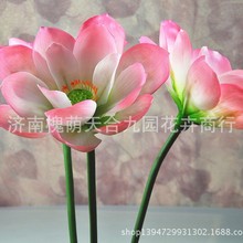��������ɻ����~ ����PU�ָз��滨�ٻ��Ҿӷ��ó����b�