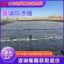 跨境防渗全新料水库土工膜