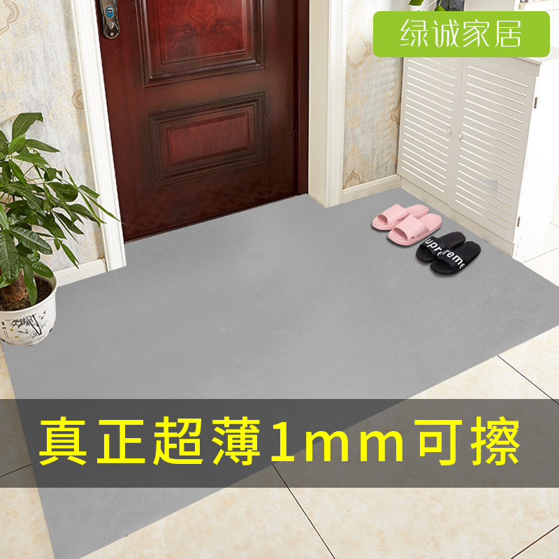 超薄地垫不卡门1mmpvc可擦洗入户门玄关防水防滑地毯进门门口垫子