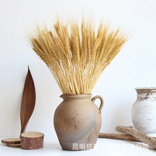 狂想者【天然晒黄米色大麦穗】黄色森系自然真花婚礼开业田园家居