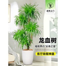 ��Ѫ��͏d�Gֲ��լ���Ͷ��^��횘������҃ȴ�̖�辰�����F��ֲ��