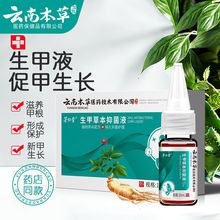 茅仁堂云南本草灰指抑菌护理盒亮甲灰甲液足部护理现货批发代发