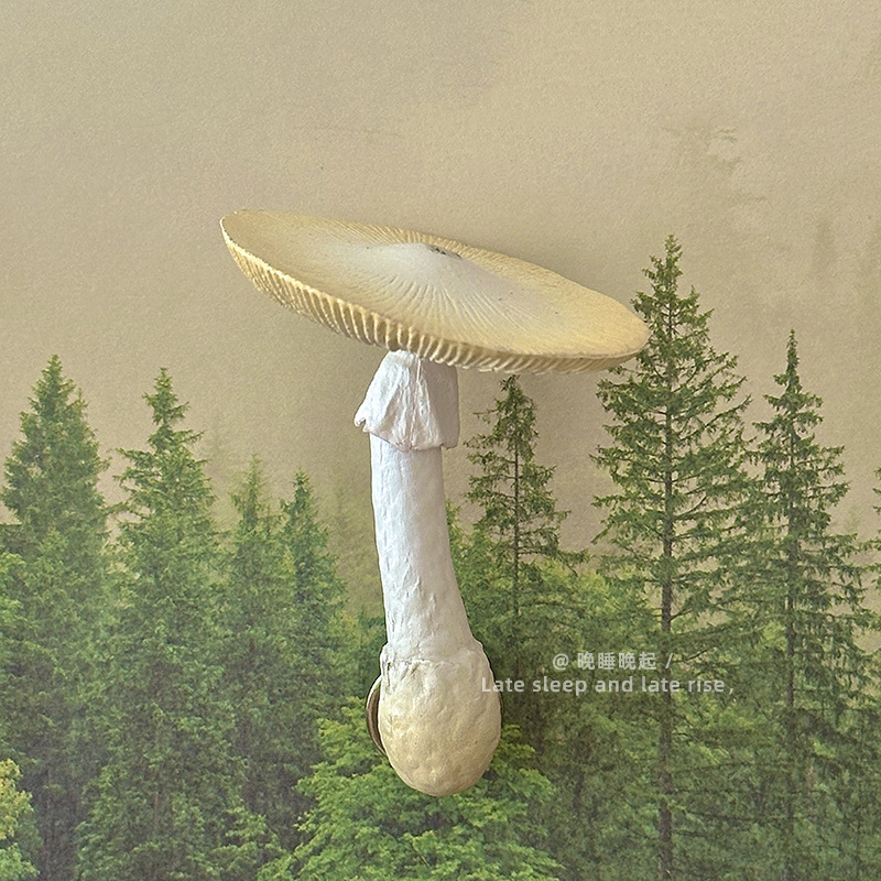 森林里的蘑菇~仿真蘑菇冰箱贴磁吸装饰品3d立体创意个性强力磁吸|undefined