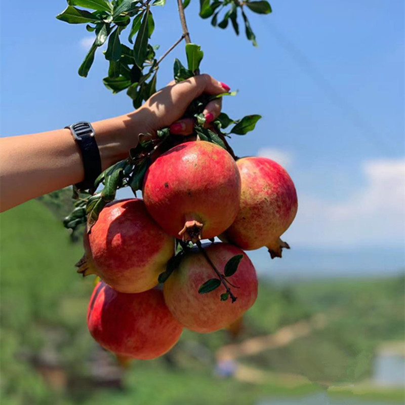 6fc45c759eac7290c892ea57fb67f2