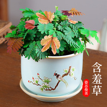 ʺ纬̨߲҃B辰ɫ׃@Ȥζ殐ݾGֲ