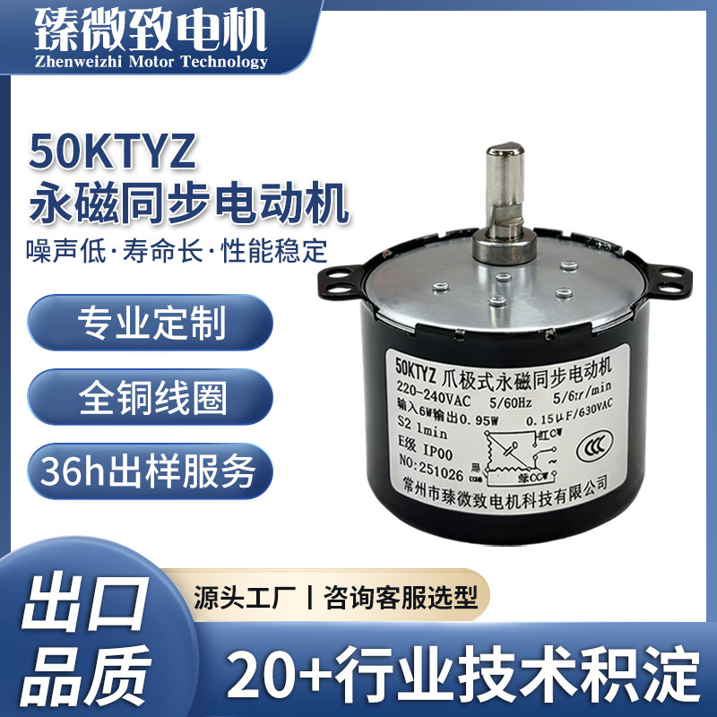 50Ktyz Permanent Magnet Synchronous Motor 220V Ac Micro Motor Permanent Magnet Synchronous Motor Manufacturer Supply
