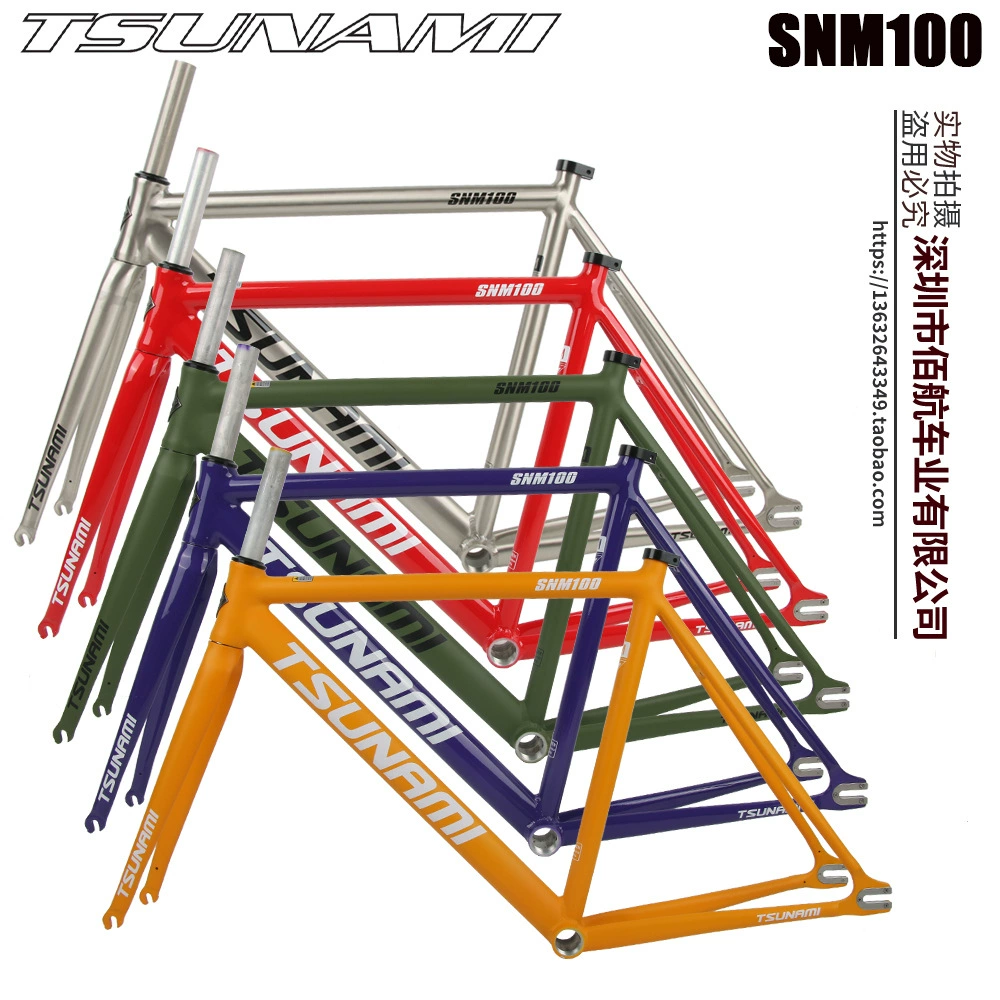 TSUNAMI Tsunami Summy SNM100 Pioneer Dead Flying Aluminum Alloy Racing Site Bicycle frame
