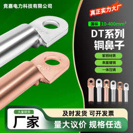 厂家DT铜鼻子线鼻子接线端子电力施工维修铜线电线铜接头接线端子