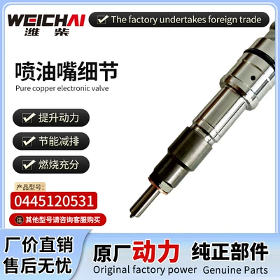 Oil pump, nozzle brand new high-pressure common