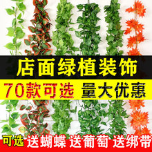 �����~�ٻ��ٗl�������~��ˮ�ܵ����ϾGֲ��G�~�p�@����b�