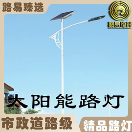 太阳能灯;庭院灯;道路照明灯