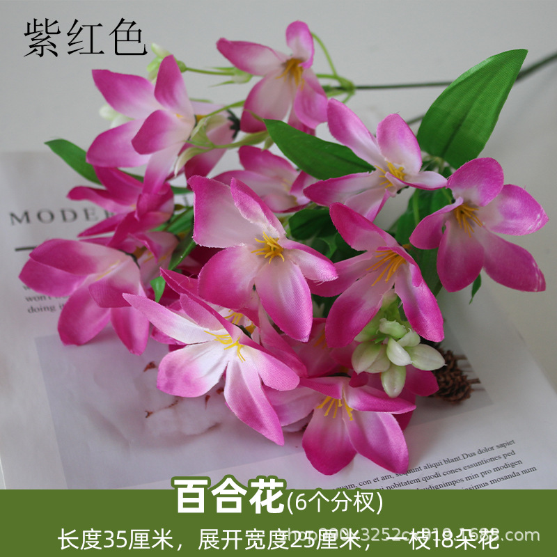 Mango de lirio rojo purpú