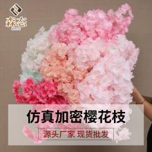 ������ܙѻ�֦�ٻ�4�3込��ܘ�֦��c���T�bɻ��҃Ȳ�������