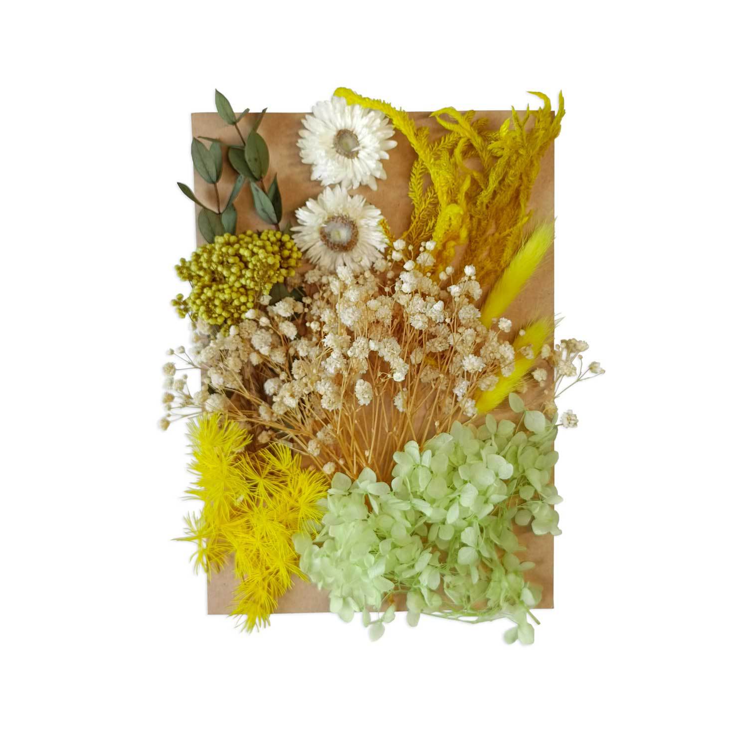 Flor seca flor eterna marco de fotos en relieve paquete de material combinación paquete de flores aromaterapia ventilador A5 bolsa de fábrica al por mayor transfronteriza