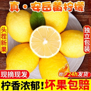 �Ĵ������S�������rˮ��Ƥ���������侫�x��ˮ��������С����خa