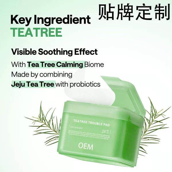 Cross-Border Korean Popular Tea Tree Facial Toner Patch Containing Tea Tree and Lactic Acid Bacteria Suitable for Sensitive Skin Cotton Pads