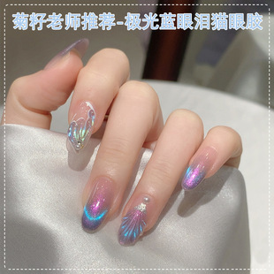 �羳�O���{�ۜI؈��ָ����2025�¿�W����������z���׌������l