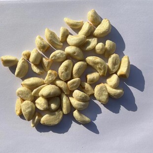 VF���� VF���� �͜������ը���� �͜���ը���� �͜���ը