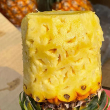 ���������P����������P�殔�����r���}�Fժ�F�l����5���b