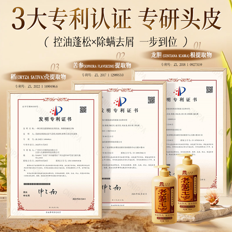 Beauty Path Old Ginger King Ginger Shampoo Oil Control Volumizing Moisturizing Smooth Anti-Mite Shampoo Genuine Scalp Oil Control