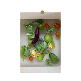 ins�n�LС����ˮ���߲ˮ�������Շ���Ʒ����b���������b�