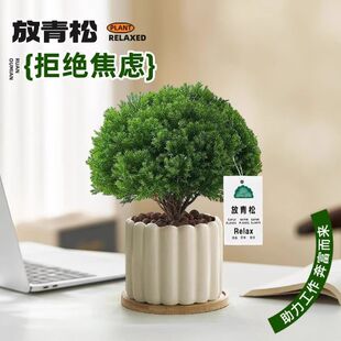 �Fڡ���Կ͏d�k��������GֲС�辰�����՚��ļ��������B�������