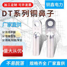 国标dt铜鼻子电力电缆铜接线端子线耳紫铜线鼻子镀锡DT系列堵油鼻