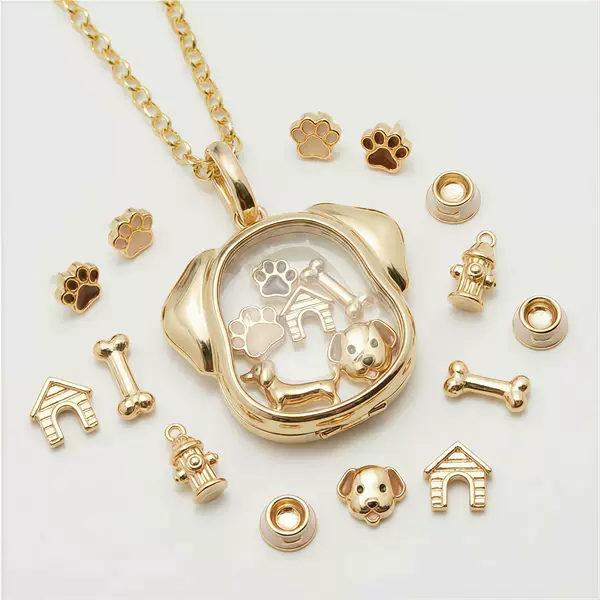 European and American New Style Personalized Photo Box Necklace Pet Openable DIY Accessory Pendant Puppy Hollow Design Glass Copper