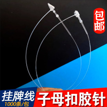 �����K��ĸ���ִ���z������K���ƿ��z�����b�������Ͽ۰�ɫ͸��