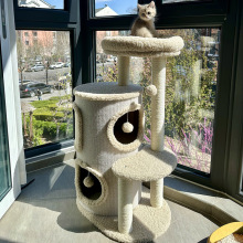 è��è���ܼ���С���Ͳ�ռ��è������һ���ļ�ͨ��˫��è�佣��Ͱ