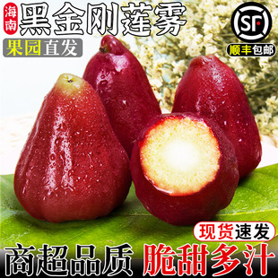 ���Ϻڽ���ɏ�F���r�Ꭷˮ�������Fժ���ں�����ɏ�F�����S���]